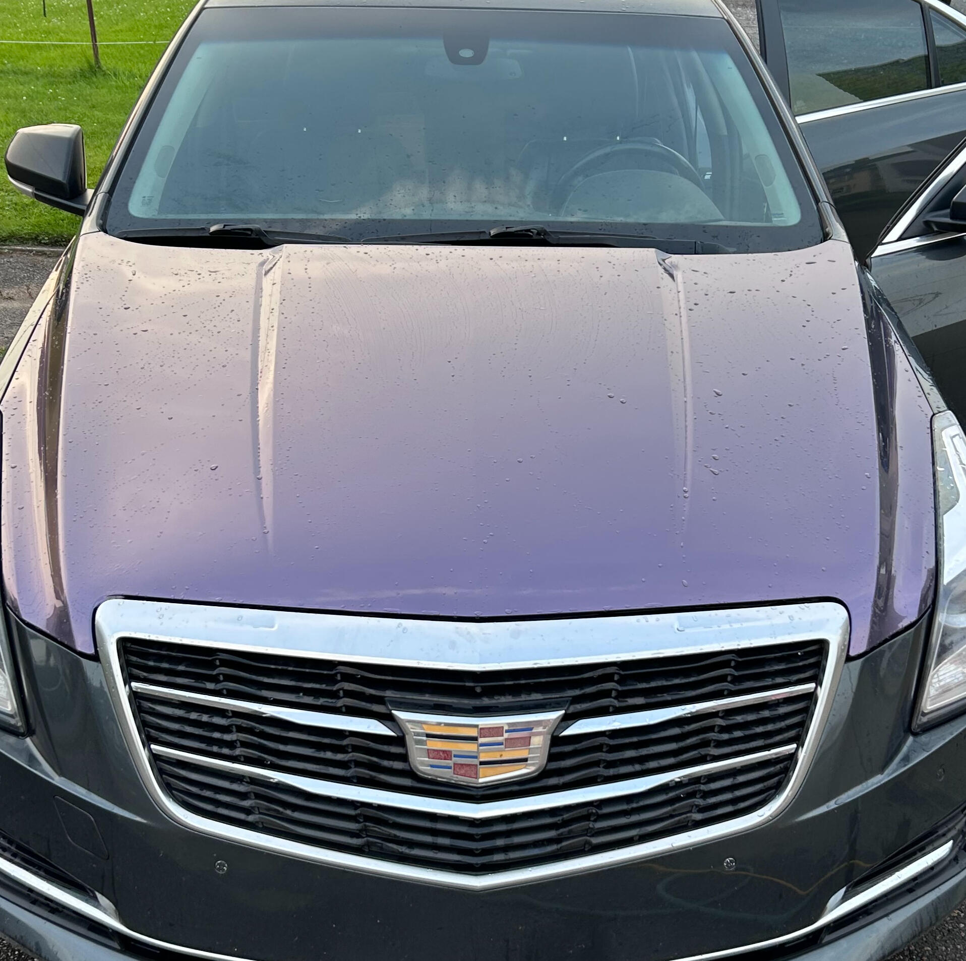 Capot en vinyl mauve : personnalisation et protection sur mesure